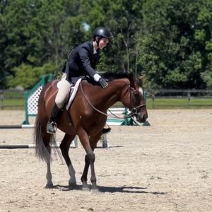 Meet your Posher, Ally